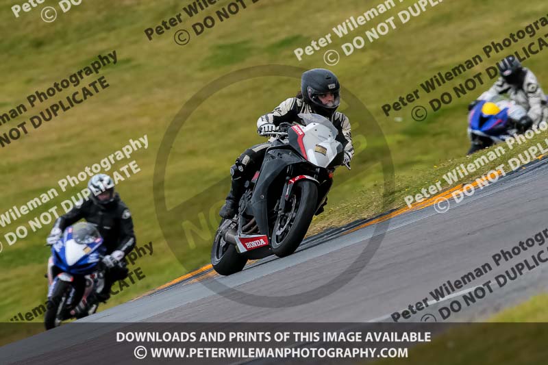 PJ Motorsport 2019;anglesey no limits trackday;anglesey photographs;anglesey trackday photographs;enduro digital images;event digital images;eventdigitalimages;no limits trackdays;peter wileman photography;racing digital images;trac mon;trackday digital images;trackday photos;ty croes